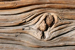 Old Wooden Texture Stock Image Old Wooden Texture Stock Image