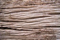 Old Woodgrain Stock Images