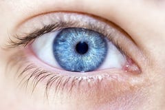 Olhos azuis perspicaz do olhar imagem de stock royalty free Olhos azuis perspicaz do olhar imagem de stock royalty free