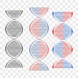 Olika uppsättningar för DNA av spiral på genomskinlig bakgrund det mitt designelementgallerit ser var god liknande till den din v vektor illustrationer Olika uppsättningar för DNA av spiral på genomskinlig bakgrund det mitt designelementgallerit ser var god liknande till den din v vektor illustrationer