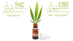 Olio della cannabis di CBD con il contagoccia, foglia verde della canapa in bottiglia I prodotti della marijuana hanno isolato il fotografie stock libere da diritti Olio della cannabis di CBD con il contagoccia, foglia verde della canapa in bottiglia I prodotti della marijuana hanno isolato il fotografie stock libere da diritti