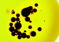 Olio di oliva e balsamico Fotografia Stock Libera da Diritti Olio di oliva e balsamico Fotografia Stock Libera da Diritti