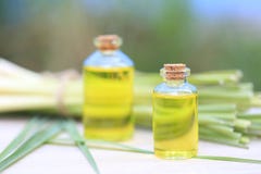 Olio essenziale della citronella in bottiglie di vetro su fondo verde naturale immagini stock libere da diritti Olio essenziale della citronella in bottiglie di vetro su fondo verde naturale immagini stock libere da diritti