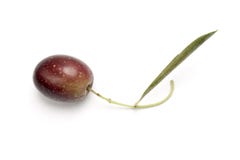Olive Stock Photos Olive Stock Photos
