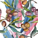 Olive branch with black and green fruit. Watercolor background illustration set. Seamless background pattern. vector illustration Olive branch with black and green fruit. Watercolor background illustration set. Seamless background pattern. vector illustration