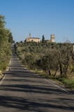 Olive grove and church of Santa Cristina in Salivolpe stock image Olive grove and church of Santa Cristina in Salivolpe stock image