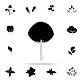 olive tree icon. Plants icons universal set for web and mobile vector illustration olive tree icon. Plants icons universal set for web and mobile vector illustration