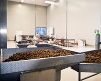 Olives in a processing machine royalty free stock photography Olives in a processing machine royalty free stock photography