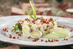 Olivier Salad o el ruso Salat con el caviar de color salmón y rojo encendido enría fotos de archivo Olivier Salad o el ruso Salat con el caviar de color salmón y rojo encendido enría fotos de archivo