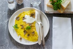 Omelet met truffel en peterselie, met zure room, brood en een glas zoet water wordt gediend dat royalty-vrije stock fotografie Omelet met truffel en peterselie, met zure room, brood en een glas zoet water wordt gediend dat royalty-vrije stock fotografie
