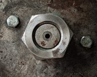 On Big And Two Small Nut Royalty Free Stock Photos On Big And Two Small Nut Royalty Free Stock Photos
