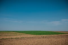 Onbewerkt gebied met wielsporen in de lente dichtbij tarweland Vuiltextuur met blauwe hemel De textuur van het het vuilgebied van stock foto Onbewerkt gebied met wielsporen in de lente dichtbij tarweland Vuiltextuur met blauwe hemel De textuur van het het vuilgebied van stock foto
