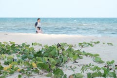 Onde del mare sulla spiaggia pulita con la luce del sole ed offuscare una donna con un bambino che cammina lungo la spiaggia immagini stock Onde del mare sulla spiaggia pulita con la luce del sole ed offuscare una donna con un bambino che cammina lungo la spiaggia immagini stock