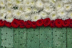 Onderhanden werk: Muur van Rose Flowers op Bloemenschuim stock fotografie Onderhanden werk: Muur van Rose Flowers op Bloemenschuim stock fotografie