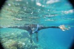 Onderwaterwereld van vissen stock afbeeldingen Onderwaterwereld van vissen stock afbeeldingen