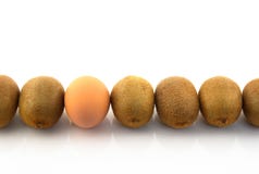 One Egg In A Row Of Kiwis Royalty Free Stock Photography