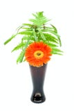One Flower And Green Leaf In Black Vase Stock Images