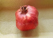 The one fruit pomegranate stock photos The one fruit pomegranate stock photos
