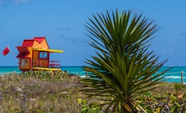 Miami Beach dunescape Stock Image Miami Beach dunescape Stock Image