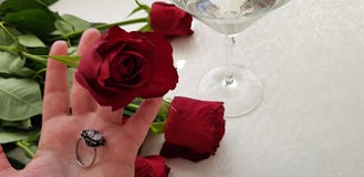One red rose and a silver ring with white big stone on human hand stock photo One red rose and a silver ring with white big stone on human hand stock photo