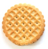 One Shortbread Butter Biscuits Stock Image One Shortbread Butter Biscuits Stock Image