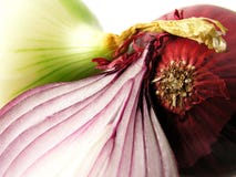 Onion Stock Photo Onion Stock Photo