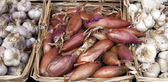 Onion And Garlic Stock Photo