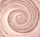 Onion Infinity Spiral Abstract Background. Royalty Free Stock Photography