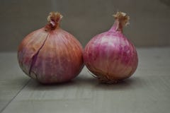 Onion picture in natural lighting stock photography Onion picture in natural lighting stock photography