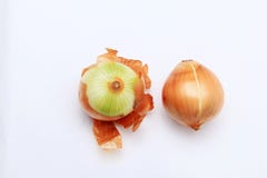 Onion with a white background royalty free stock image Onion with a white background royalty free stock image