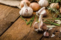 Onions, garlic and herbs bio from the garden royalty free stock photo Onions, garlic and herbs bio from the garden royalty free stock photo