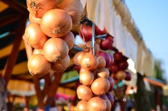 Onions for sale on a market during the harvest days Royalty Free Stock Photos Onions for sale on a market during the harvest days Royalty Free Stock Photos