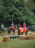 Ono potyka się blisko otręby kasztelu (kasztel Dracula) Rumunia obraz stock Ono potyka się blisko otręby kasztelu (kasztel Dracula) Rumunia obraz stock