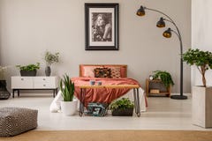Ontworpen affiche van mooi meisje boven het bed van de koningsgrootte met het beddegoed van de roestkleur in ruim slaapkamerbinne royalty-vrije stock afbeeldingen Ontworpen affiche van mooi meisje boven het bed van de koningsgrootte met het beddegoed van de roestkleur in ruim slaapkamerbinne royalty-vrije stock afbeeldingen