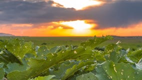 Onweerswolken in de bergen in Kazachstan Timelapse 4K stock footage Onweerswolken in de bergen in Kazachstan Timelapse 4K stock footage