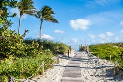 Op de manier aan het strand Florida van Miami stock foto's Op de manier aan het strand Florida van Miami stock foto's