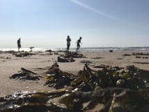 Op het strand stock fotografie Op het strand stock fotografie
