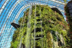 Opacifiez la forêt faite aux jardins par la baie images libres de droits Opacifiez la forêt faite aux jardins par la baie images libres de droits