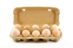 Open Box With Ten Fresh Bio Eggs Royalty Free Stock Images