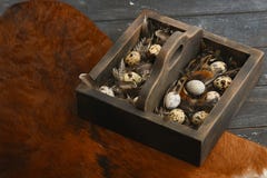 Open eco-friendly wooden box with feathers and quail eggs on animal skin. Rough dyed wooden background. Eggs For Easter. stock images Open eco-friendly wooden box with feathers and quail eggs on animal skin. Rough dyed wooden background. Eggs For Easter. stock images