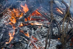 Open fire stock photography Open fire stock photography