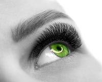 Open green eye of woman with eyelash extension. Well groomed skin, macro shot, black and white, close up, selective stock image Open green eye of woman with eyelash extension. Well groomed skin, macro shot, black and white, close up, selective stock image