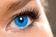 Open oog royalty-vrije stock fotografie Open oog royalty-vrije stock fotografie