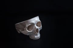 Open skull. Human skull. No brains. Black background.