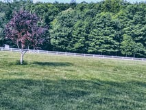 Open spring time field on farm royalty free stock photos Open spring time field on farm royalty free stock photos