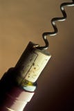 Opening a wine bottle royalty free stock image Opening a wine bottle royalty free stock image