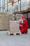 Operaio accovacciantesi che sposta casella sul pallet fotografia stock Operaio accovacciantesi che sposta casella sul pallet fotografia stock