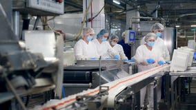 Operários do alimento que embalam produtos de uma linha movente vídeos de arquivo Operários do alimento que embalam produtos de uma linha movente vídeos de arquivo