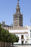 Opinião de Sevilha Giralda imagem de stock royalty free Opinião de Sevilha Giralda imagem de stock royalty free
