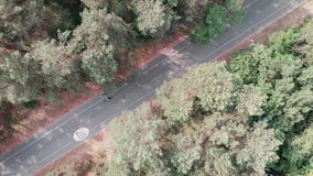 Opini?n a?rea del abej?n el grupo de ciclistas jovenes que pasan a trav?s del parque en sus bicis Reconstrucci?n de ciclo en el p metrajes Opini?n a?rea del abej?n el grupo de ciclistas jovenes que pasan a trav?s del parque en sus bicis Reconstrucci?n de ciclo en el p metrajes